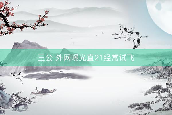 三公 外网曝光直21经常试飞
