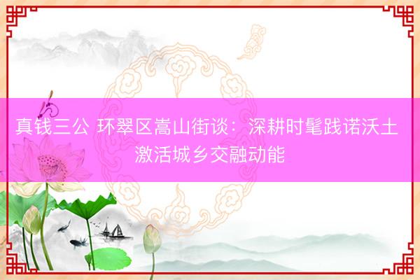 真钱三公 环翠区嵩山街谈：深耕时髦践诺沃土 激活城乡交融动能