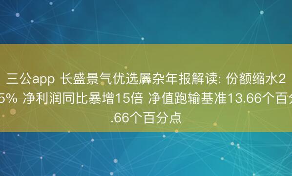 三公app 长盛景气优选羼杂年报解读: 份额缩水24.75% 净利润同比暴增15倍 净值跑输基准13.66个百分点