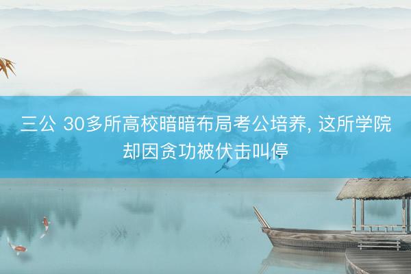 三公 30多所高校暗暗布局考公培养, 这所学院却因贪功被伏击叫停