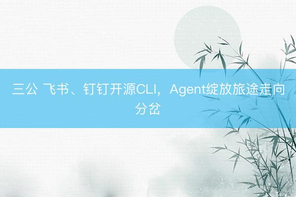 三公 飞书、钉钉开源CLI，Agent绽放旅途走向分岔
