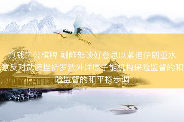 真钱三公棋牌 酬酢部谈好意思以紧迫伊朗重水工场：执意反对武装挫折罗致外洋原子能机构保险监督的和平核步调