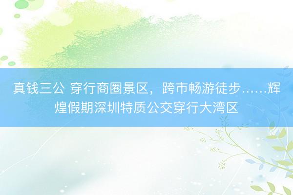 真钱三公 穿行商圈景区，跨市畅游徒步……辉煌假期深圳特质公交穿行大湾区