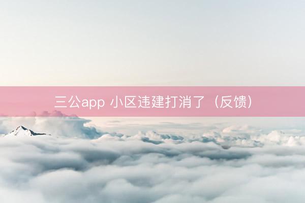 三公app 小区违建打消了（反馈）