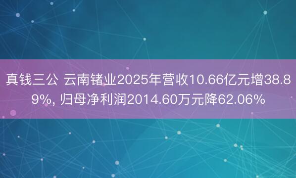真钱三公 云南锗业2025年营收10.66亿元增38.89%, 归母净利润2014.60万元降62.06%