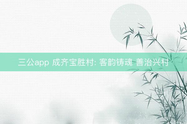 三公app 成齐宝胜村: 客韵铸魂 善治兴村