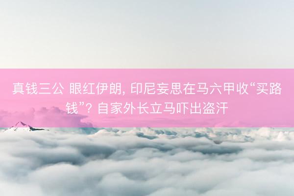 真钱三公 眼红伊朗, 印尼妄思在马六甲收“买路钱”? 自家外长立马吓出盗汗
