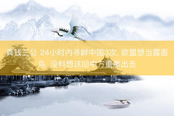 真钱三公 24小时内寻衅中国3次, 欧盟想当露面鸟, 没料想这回中方重拳出击