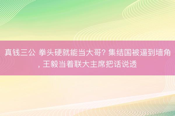 真钱三公 拳头硬就能当大哥? 集结国被逼到墙角, 王毅当着联大主席把话说透